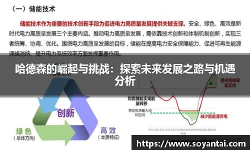 哈德森的崛起与挑战：探索未来发展之路与机遇分析