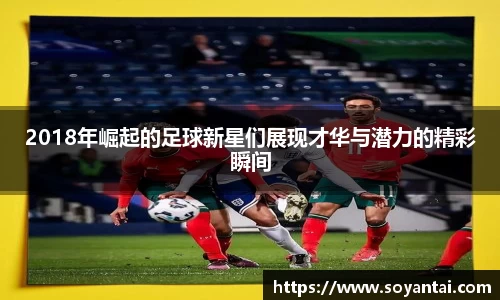 MK体育